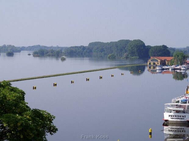Deichbruch Fischbeck 2013