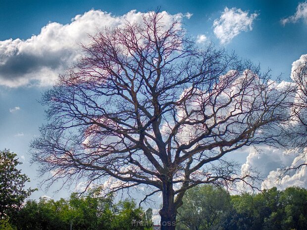 Die Umgebung von Tangermünde
